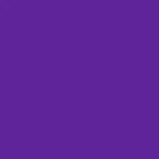 Silk Cargo Jogger in Electric Purple